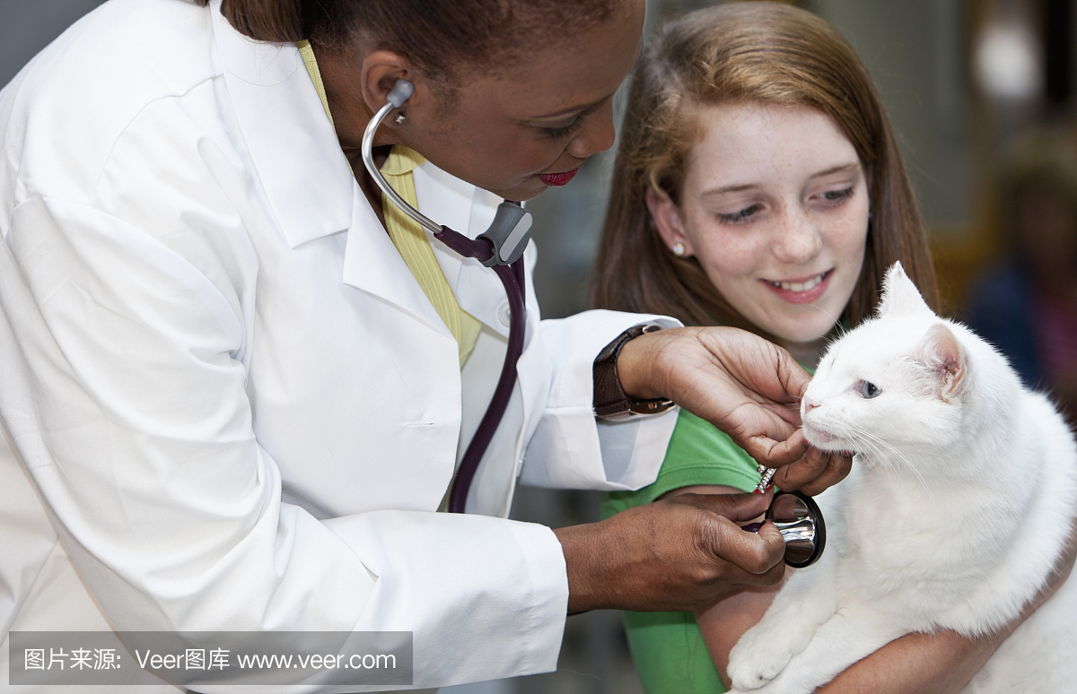 女孩带着宠物猫去看兽医