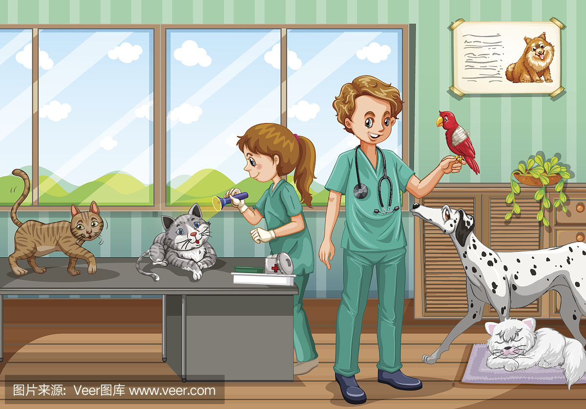 两个兽医治疗许多宠物在诊所